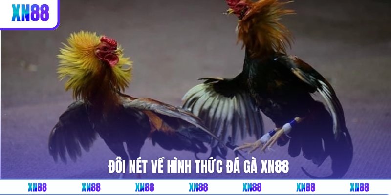 Đá gà XN88 là gì?