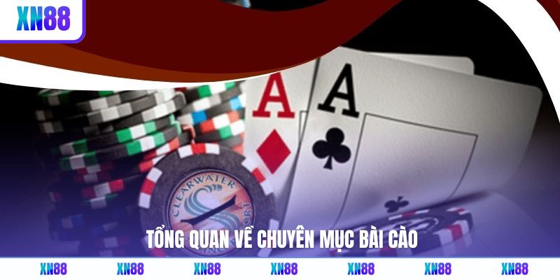 Tổng quan về chuyên mục bài cào 