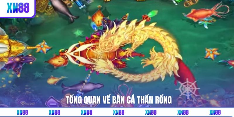 Vài điều giới thiệu về bắn cá Thần Rồng